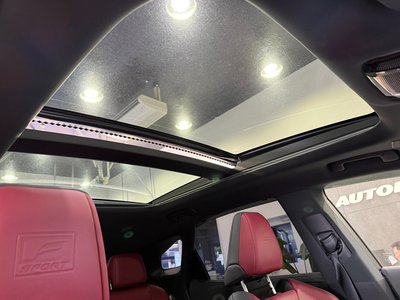 2023 Lexus RX photo 62