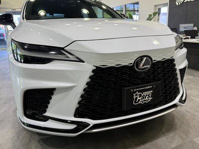 2023 Lexus RX photo 64