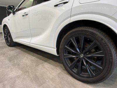 2023 Lexus RX photo 52