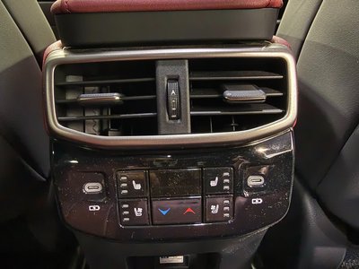 2023 Lexus RX photo 37