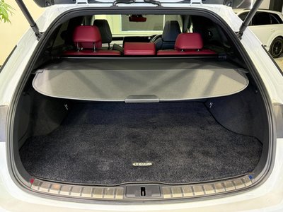 2023 Lexus RX photo 42