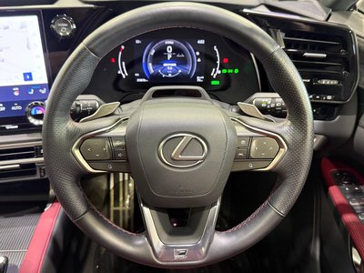 2023 Lexus RX photo 14