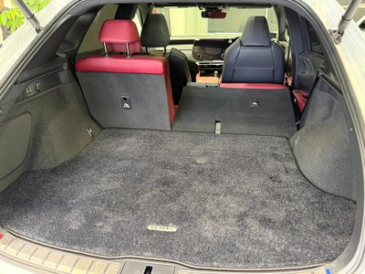 2023 Lexus RX photo 46