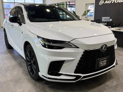 2023 Lexus RX photo 61