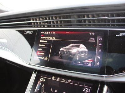 2025 AUDI Q8 photo 16