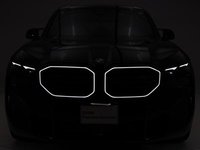 2024 BMW XM thumbnail 23