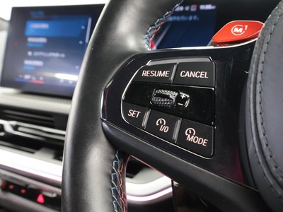 2024 BMW XM thumbnail 40