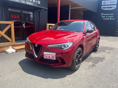 2019 ALFA Romeo STELVIO — фото 3