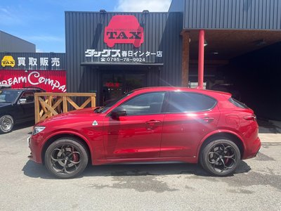 2019 ALFA Romeo STELVIO — фото 5
