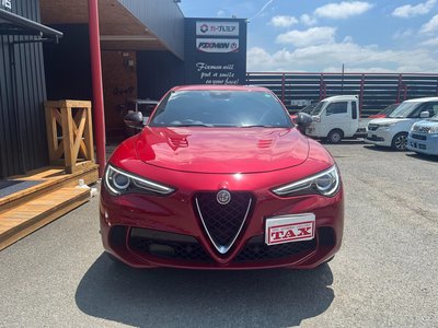 2019 ALFA Romeo STELVIO — фото 2