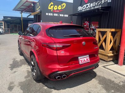 2019 ALFA Romeo STELVIO — фото 6