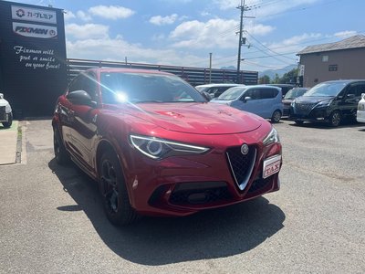 2019 ALFA Romeo STELVIO — фото 1
