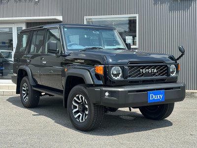 2026 Toyota LAND CRUISER 70 照片 9