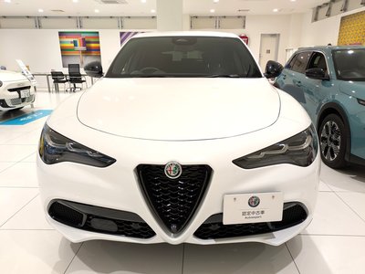 صورة 3 لـ 2025 ALFA Romeo STELVIO