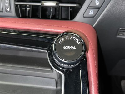 2025 Lexus NX 缩略图 12