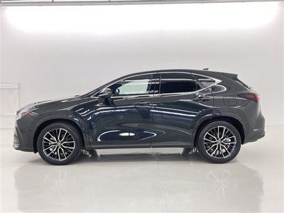 2025 Lexus NX 缩略图 17