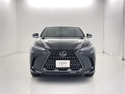 2025 Lexus NX 缩略图 16