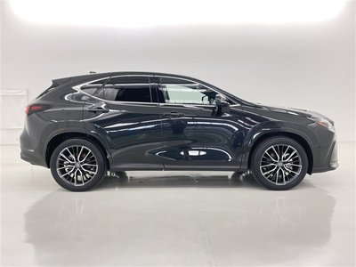 2025 Lexus NX 缩略图 19