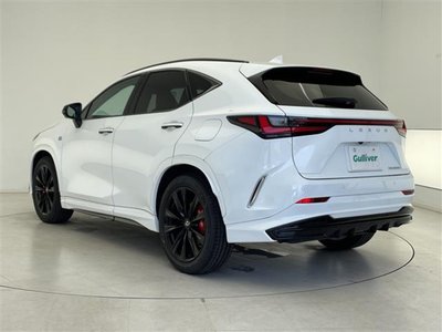 2023 Lexus NX — фото 43