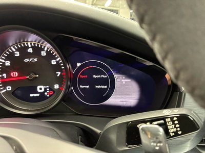 2020 Porsche PANAMERA thumbnail 31