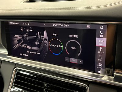2020 Porsche PANAMERA thumbnail 35