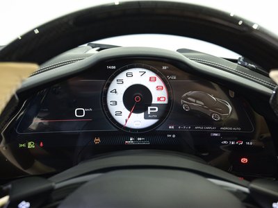 صورة 18 لـ 2024 Ferrari PUROSANGUE