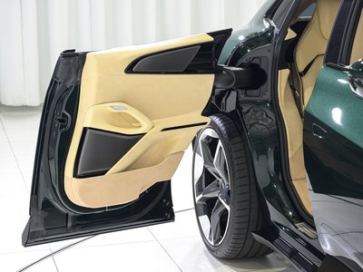 صورة 44 لـ 2024 Ferrari PUROSANGUE