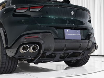 صورة 30 لـ 2024 Ferrari PUROSANGUE