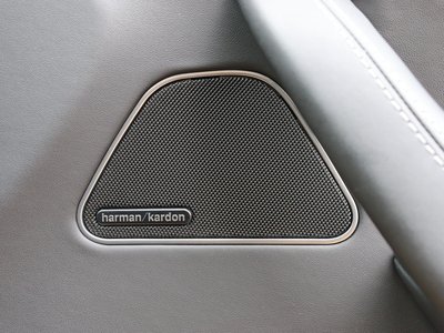 2021 Maserati LEVANTE 缩略图 53