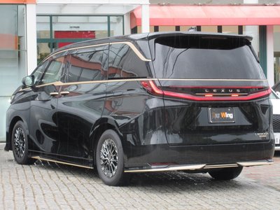 2025 Lexus LM thumbnail 20