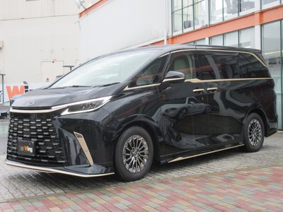 2025 Lexus LM thumbnail 19