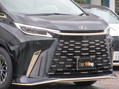 2025 Lexus LM photo 7