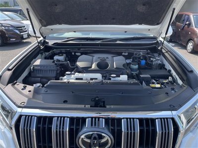 2022 Toyota LAND CRUISER PRADO 照片 11