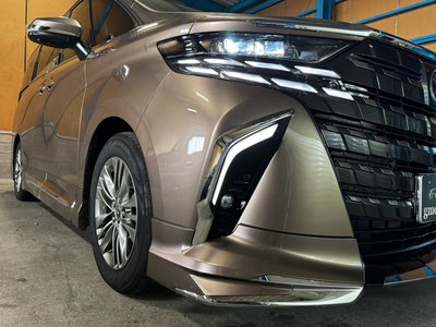 2026 Toyota ALPHARD 照片 21