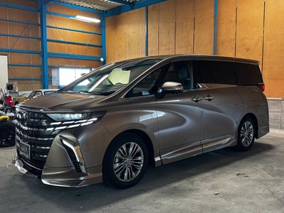 2026 Toyota ALPHARD 照片 19