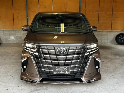 2026 Toyota ALPHARD 照片 15