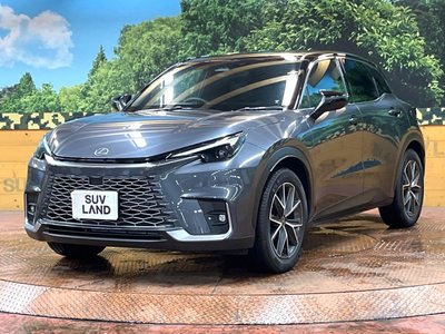 2025 Lexus LBX photo 16