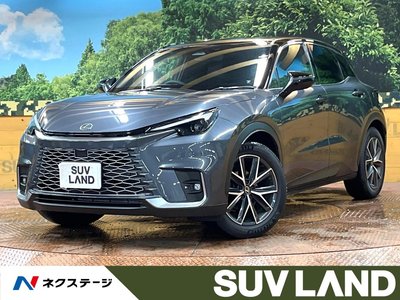 2025 Lexus LBX photo 1