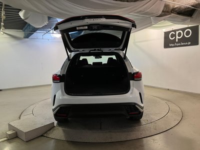 2023 Lexus RX thumbnail 29