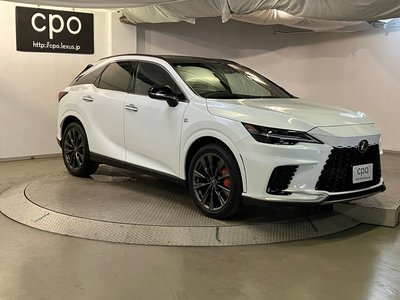 2023 Lexus RX photo 14