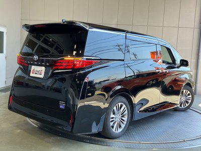 2025 Toyota ALPHARD 照片 30
