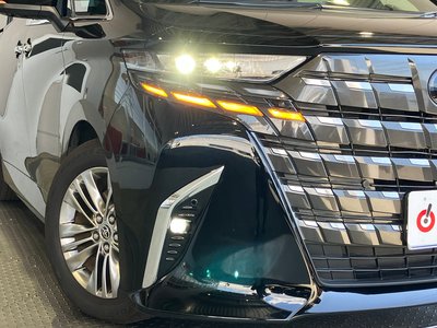 2025 Toyota ALPHARD 照片 35