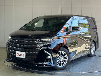 2025 Toyota ALPHARD 照片 29
