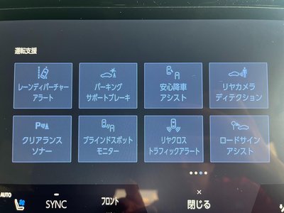 2025 Toyota ALPHARD 照片 13