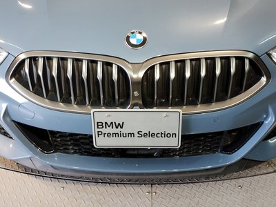 2019 BMW 8 SERIES — фото 14