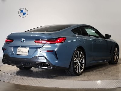 2019 BMW 8 SERIES — фото 10