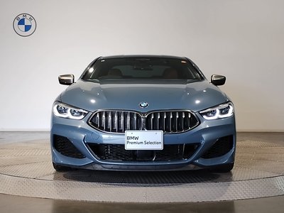 2019 BMW 8 SERIES — фото 6