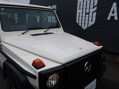 صورة 21 لـ 1988 Mercedes-BENZ G-CLASS