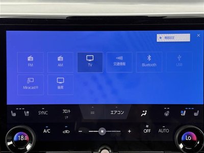2024 Toyota ALPHARD thumbnail 30
