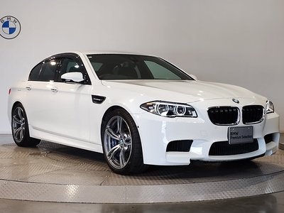 2014 BMW M5 photo 14